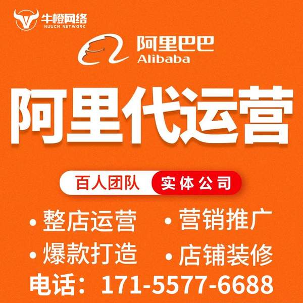清远电商代运营