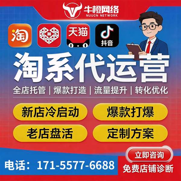 清远电商代运营