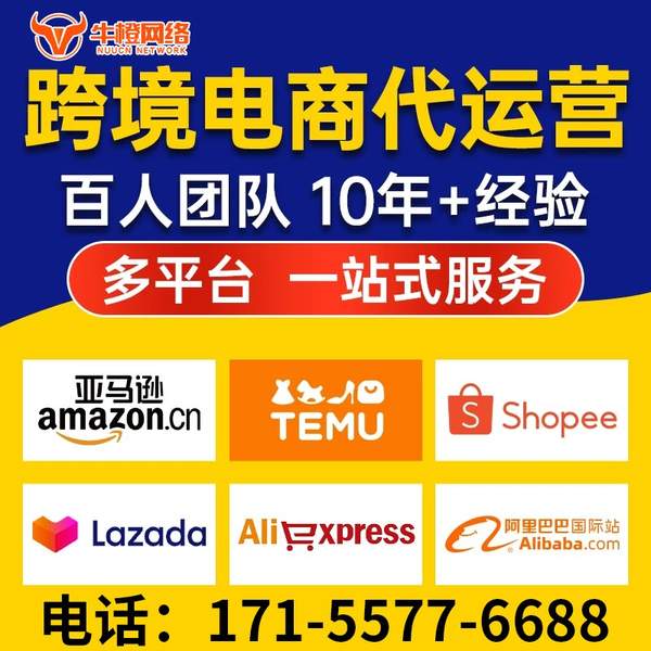 清远电商代运营