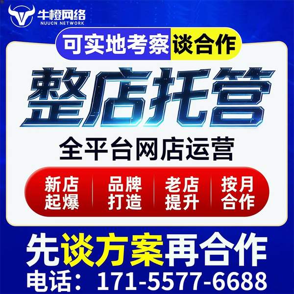 清远电商代运营