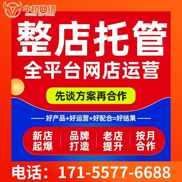 清远电商代运营