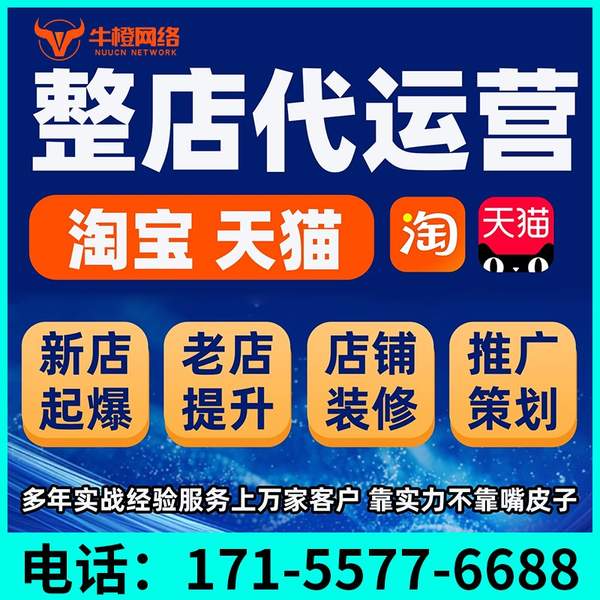 清远电商代运营