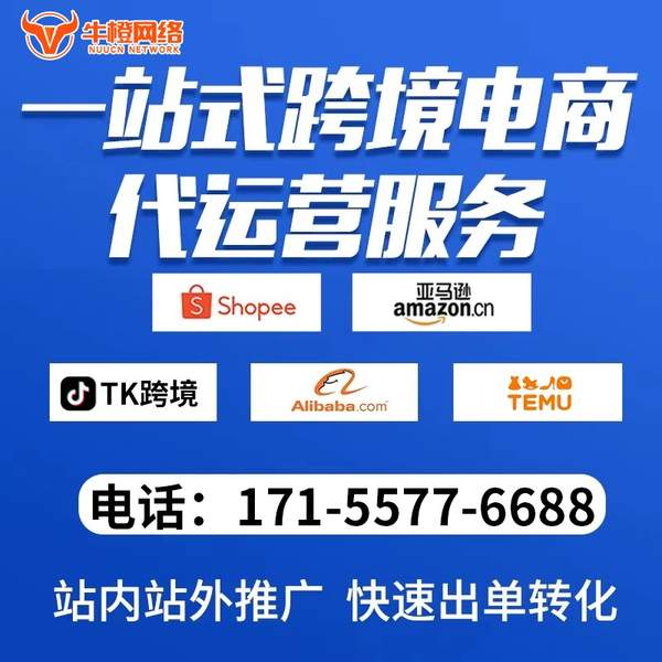 清远电商代运营