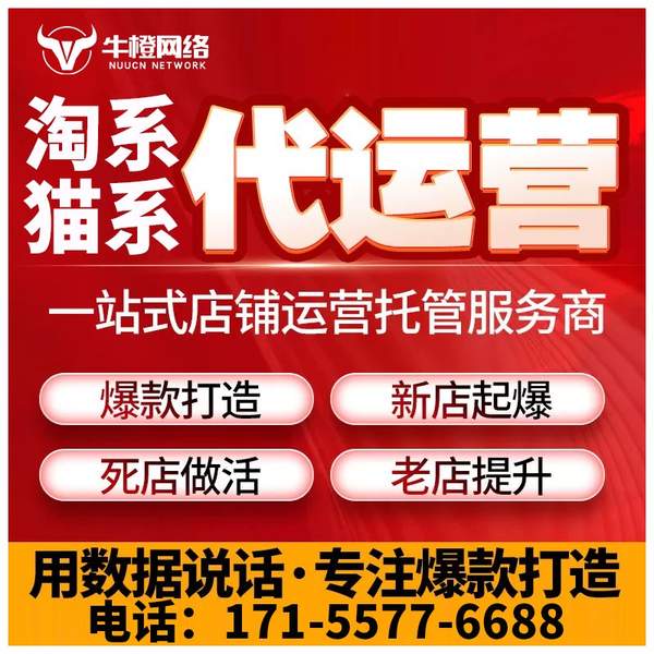 清远电商代运营